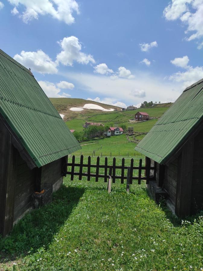 Birlik Yaylakent Caykara Dış mekan fotoğraf