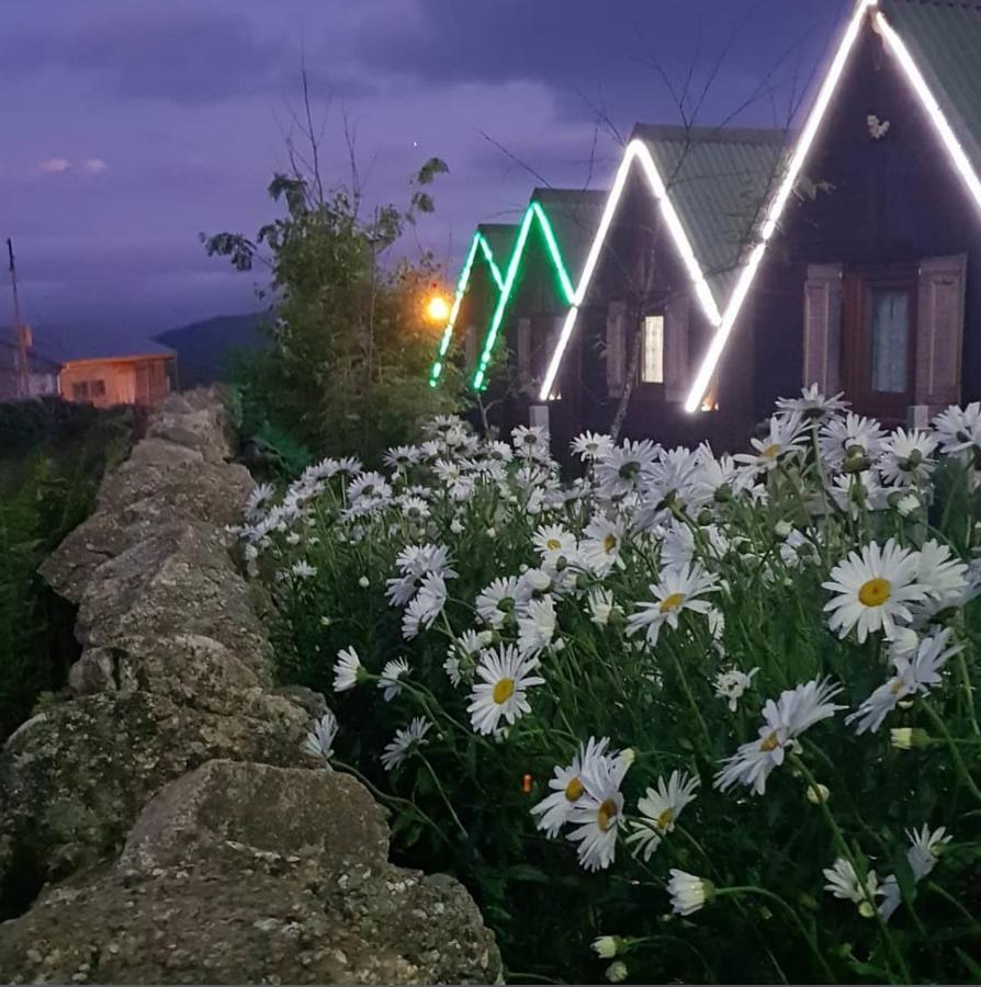 Birlik Yaylakent Caykara Dış mekan fotoğraf